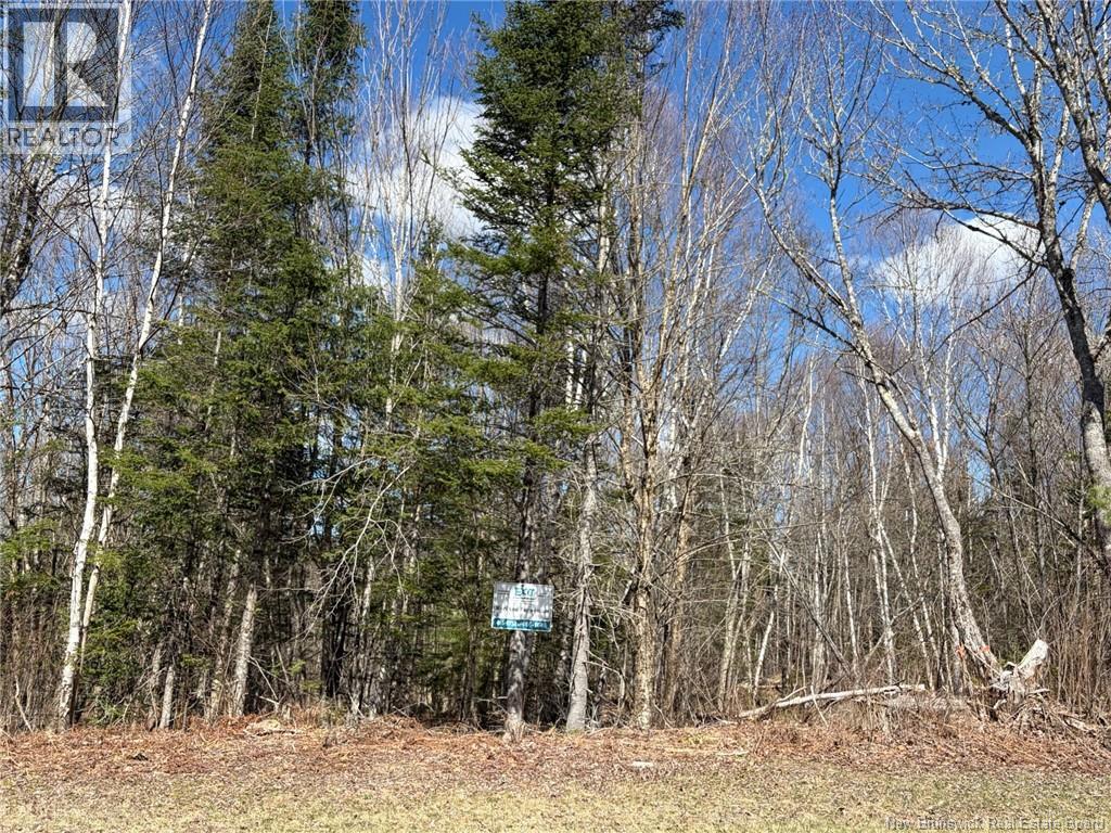 00-1 Reardon Road, Elmsville, New Brunswick  E5A 0B6 - Photo 3 - NB133282
