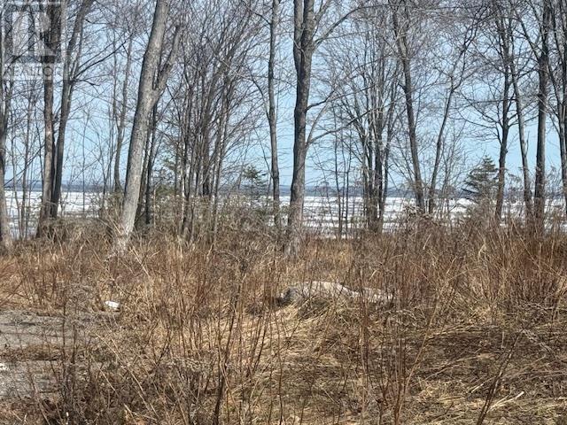 19 Lighthouse Point Dr, Thessalon, Ontario  P0R 1L0 - Photo 2 - SM260780