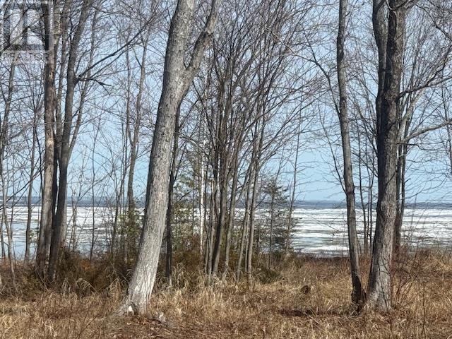 19 Lighthouse Point Dr, Thessalon, Ontario  P0R 1L0 - Photo 3 - SM260780