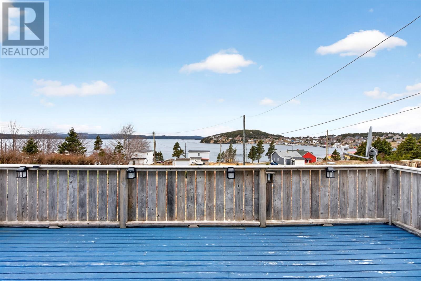 3 Pinsents Road Extension, Dildo, Newfoundland & Labrador  A0B 1P0 - Photo 3 - 1296596