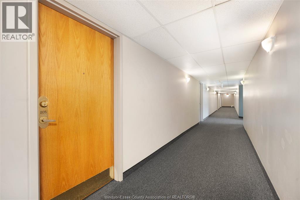 401 Grand Marais Road West Unit# 205, Windsor, Ontario  N9E 4S2 - Photo 4 - 26009229
