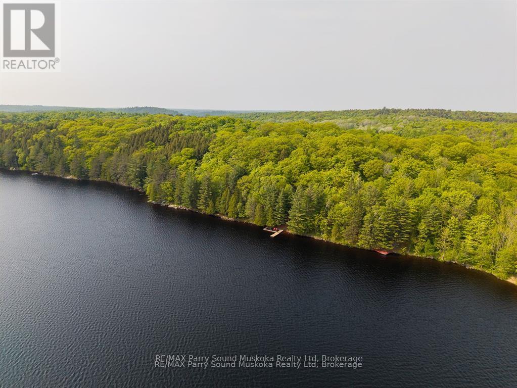 40 Jack And Verna's Lane, Magnetawan (Spence), Ontario  P0A 1P0 - Photo 4 - X13046784
