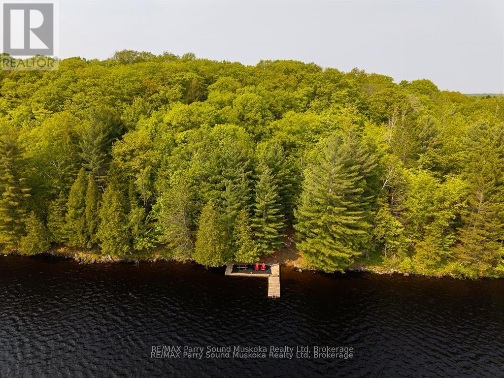 40 Jack And Verna's Lane, Magnetawan (Spence), Ontario  P0A 1P0 - Photo 5 - X13046784