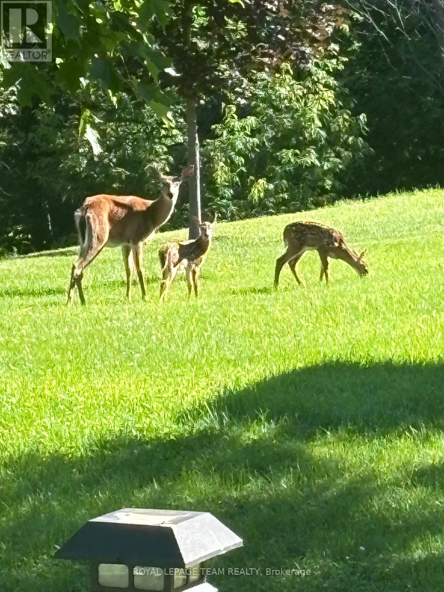 230 Opeongo Road, Renfrew, Ontario  K7V 2T5 - Photo 48 - X12750656