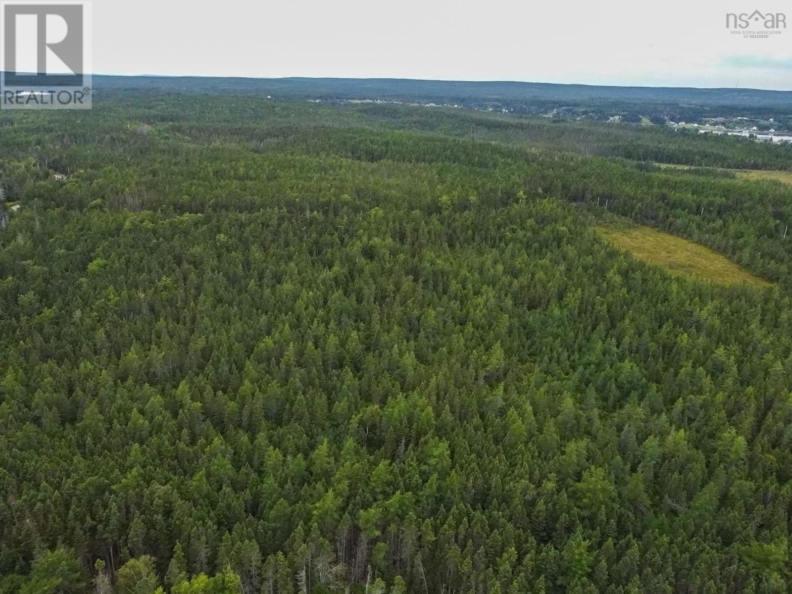 219 Richards Pond Road, River Bourgeois, Nova Scotia  B0E 2X0 - Photo 10 - 202514265