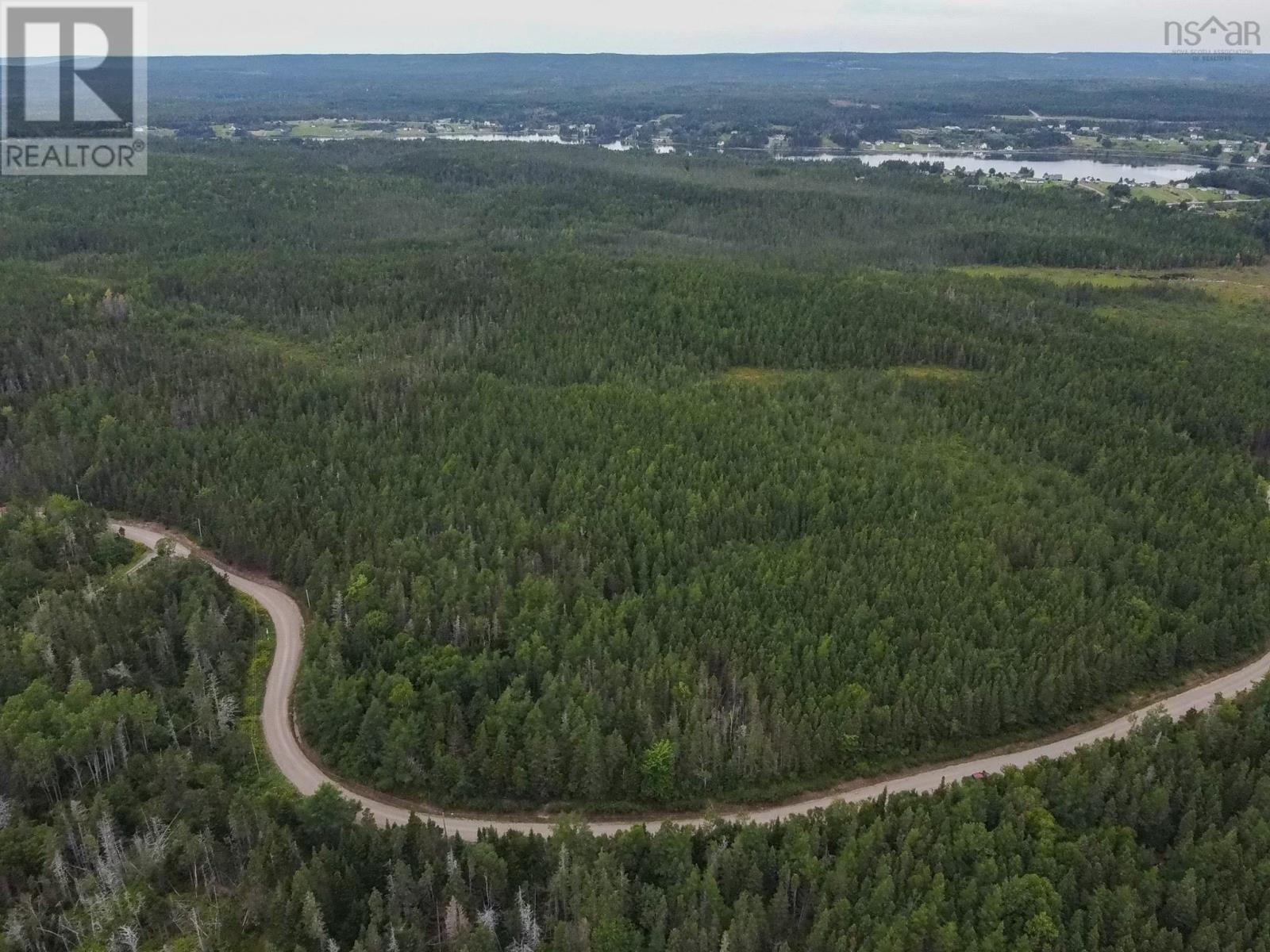 219 Richards Pond Road, River Bourgeois, Nova Scotia  B0E 2X0 - Photo 6 - 202514265