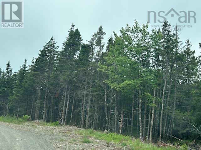 Salmon River Road, West L'ardoise, Nova Scotia  B0E 1S0 - Photo 3 - 202515947