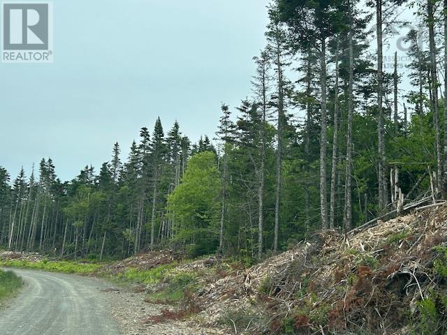 Salmon River Road, West L'ardoise, Nova Scotia  B0E 1S0 - Photo 5 - 202515947