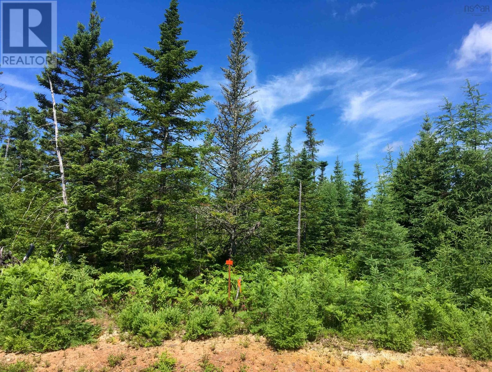 Lot 2 Lake Side Drive, Macintyre Lake, Nova Scotia  B9A 1Y3 - Photo 12 - 202524920
