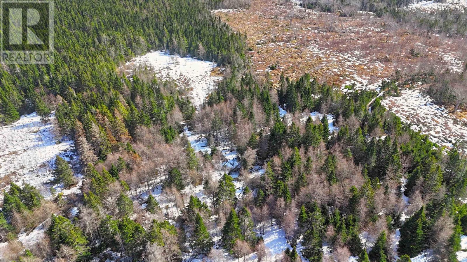139 Acres Shaws Road, Lewis Cove Road, Nova Scotia  B0E 3B0 - Photo 10 - 202604572