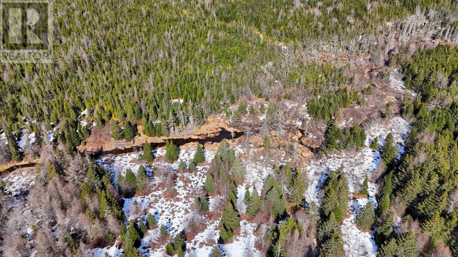 139 Acres Shaws Road, Lewis Cove Road, Nova Scotia  B0E 3B0 - Photo 1 - 202604572