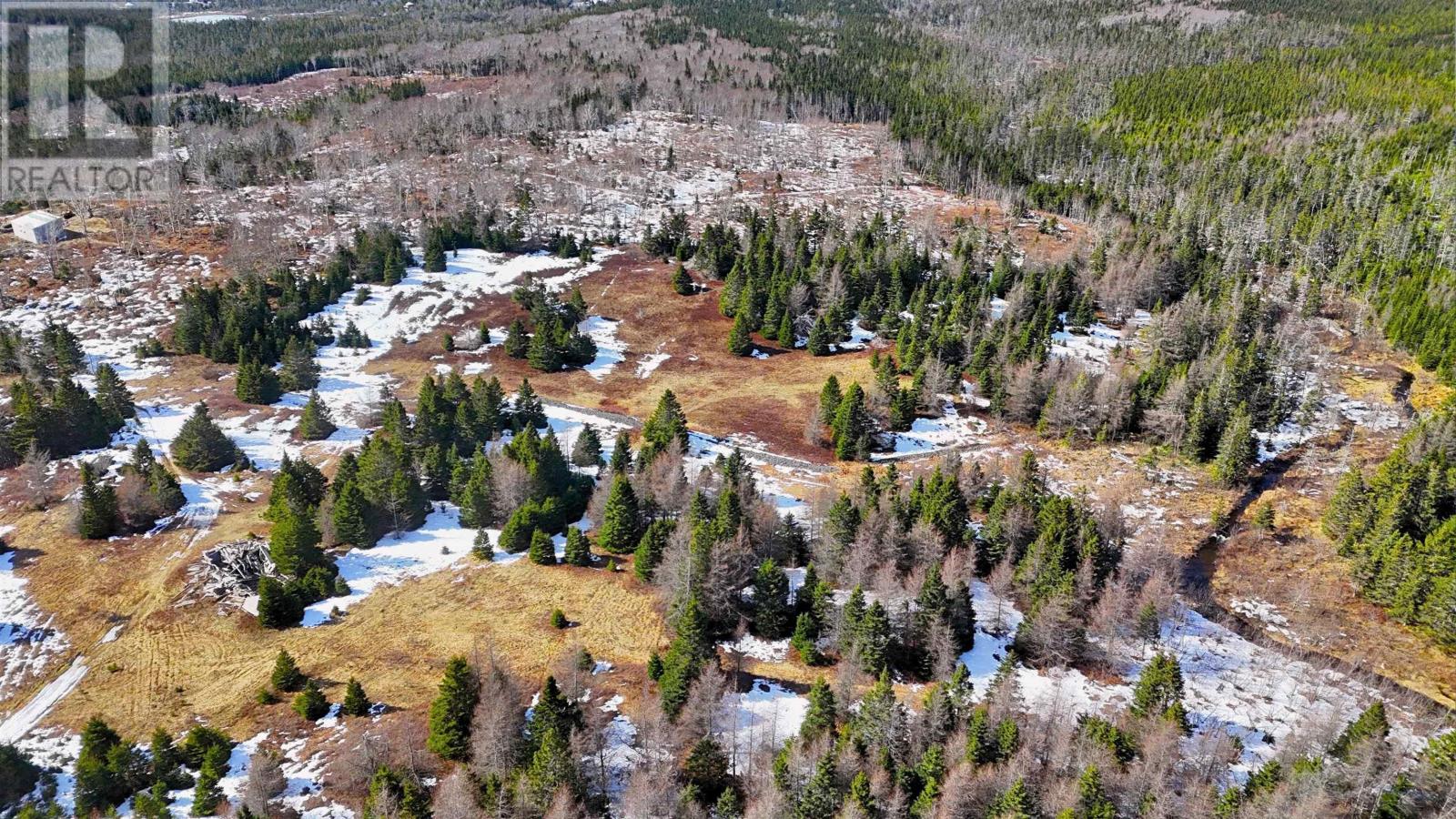 139 Acres Shaws Road, Lewis Cove Road, Nova Scotia  B0E 3B0 - Photo 7 - 202604572