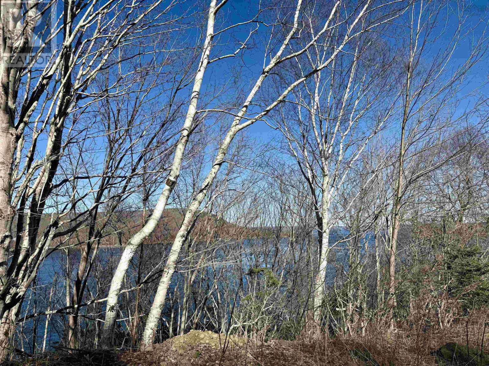 Bayview Shore Road, Bay View, Nova Scotia  B0V 1A0 - Photo 13 - 202608682