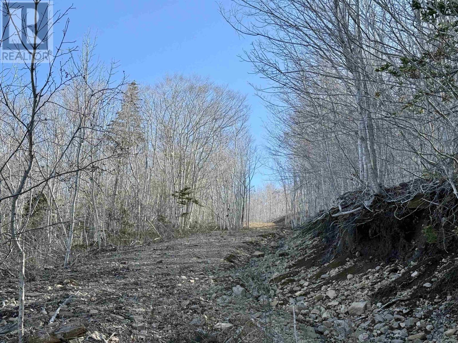Bayview Shore Road, Bay View, Nova Scotia  B0V 1A0 - Photo 14 - 202608682