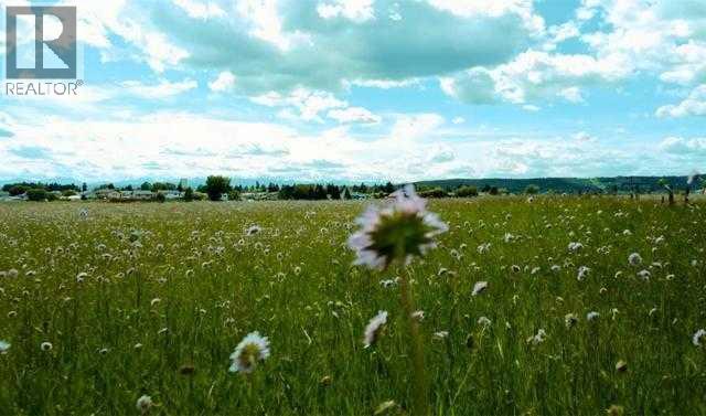 500 4 Avenue Se, Diamond Valley, Alberta  T0L 1H0 - Photo 4 - A2305080