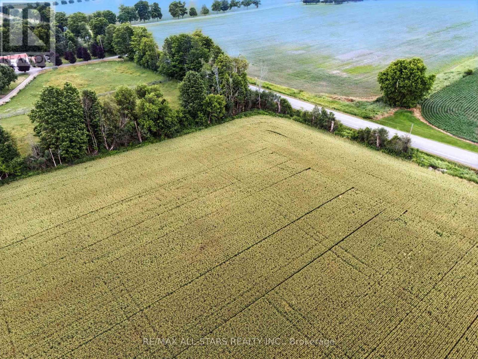 0 Scugog Line 4, Scugog, Ontario  L9L 1B5 - Photo 6 - E13047070