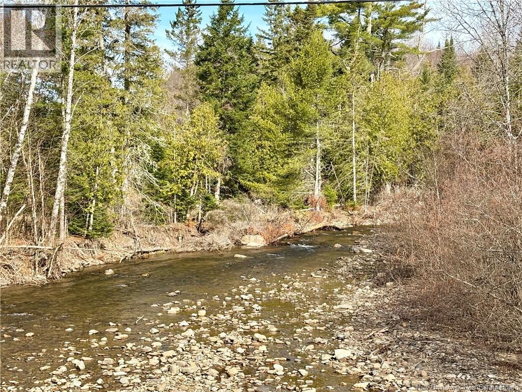 15 Dorn Ridge Road, Burtts Corner, New Brunswick  E6L 2T2 - Photo 29 - NB133379