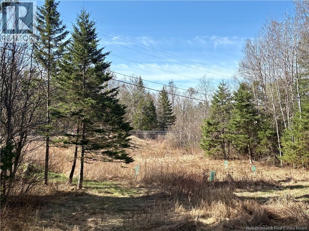 15 Dorn Ridge Road, Burtts Corner, New Brunswick  E6L 2T2 - Photo 33 - NB133379