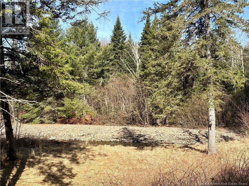 15 Dorn Ridge Road, Burtts Corner, New Brunswick  E6L 2T2 - Photo 32 - NB133379