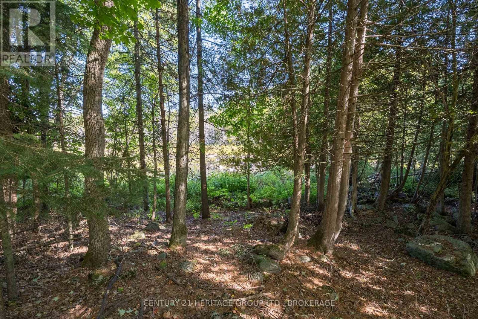 108 Queen Street, Tweed, Ontario  K0L 2L0 - Photo 3 - X13046996