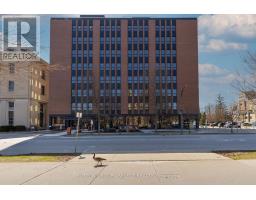 713 - 195 DUFFERIN AVENUE, London East, Ontario