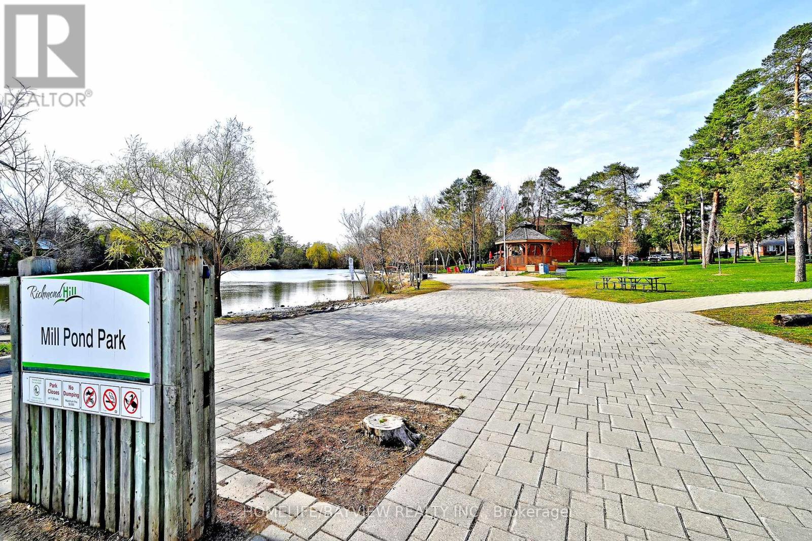 159 Laverock Avenue, Richmond Hill (Mill Pond), Ontario  L4C 4K1 - Photo 50 - N13047174