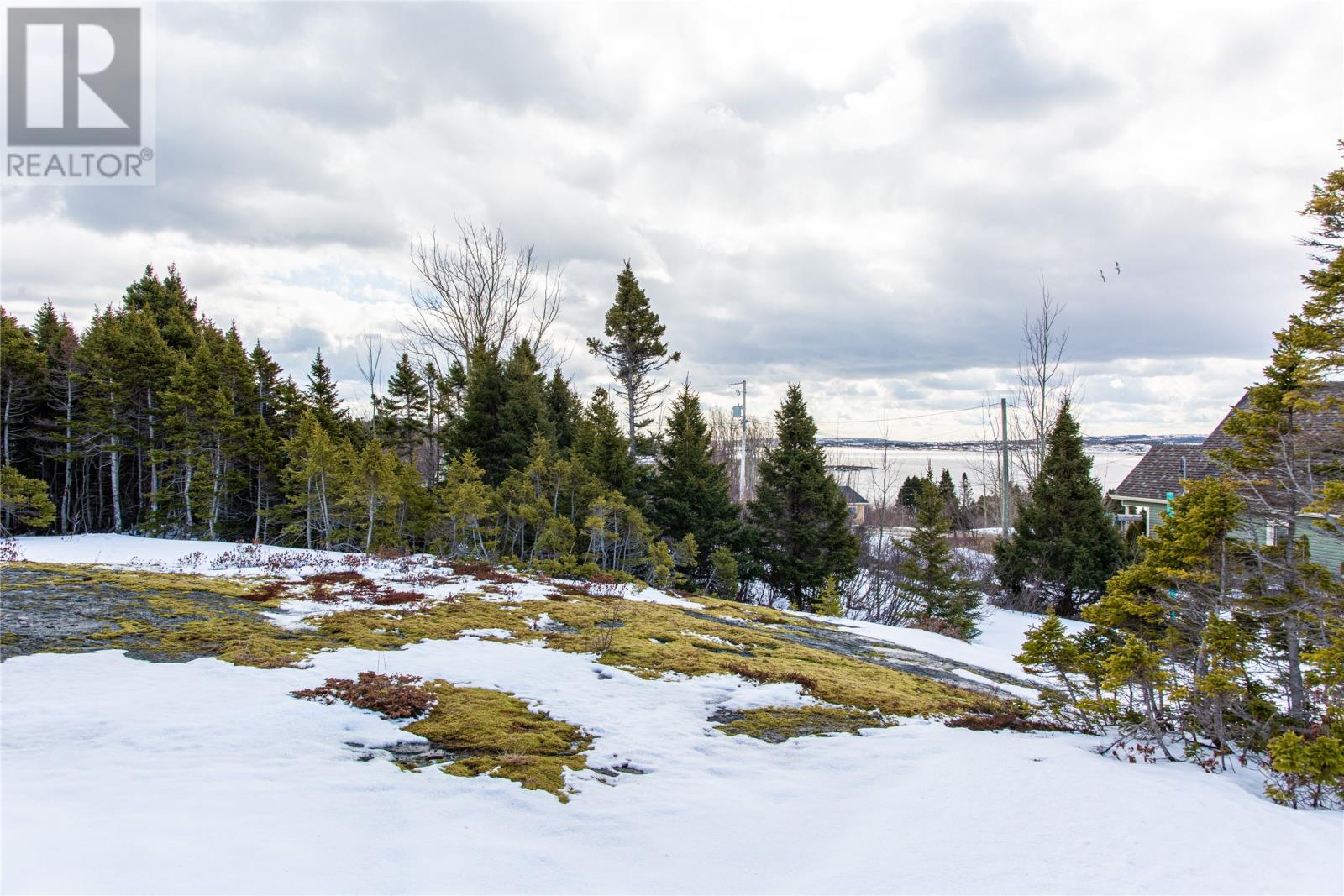 1 Esau Spurrells Lane, New Was Valley, Newfoundland & Labrador  A0G 1B0 - Photo 27 - 1296588