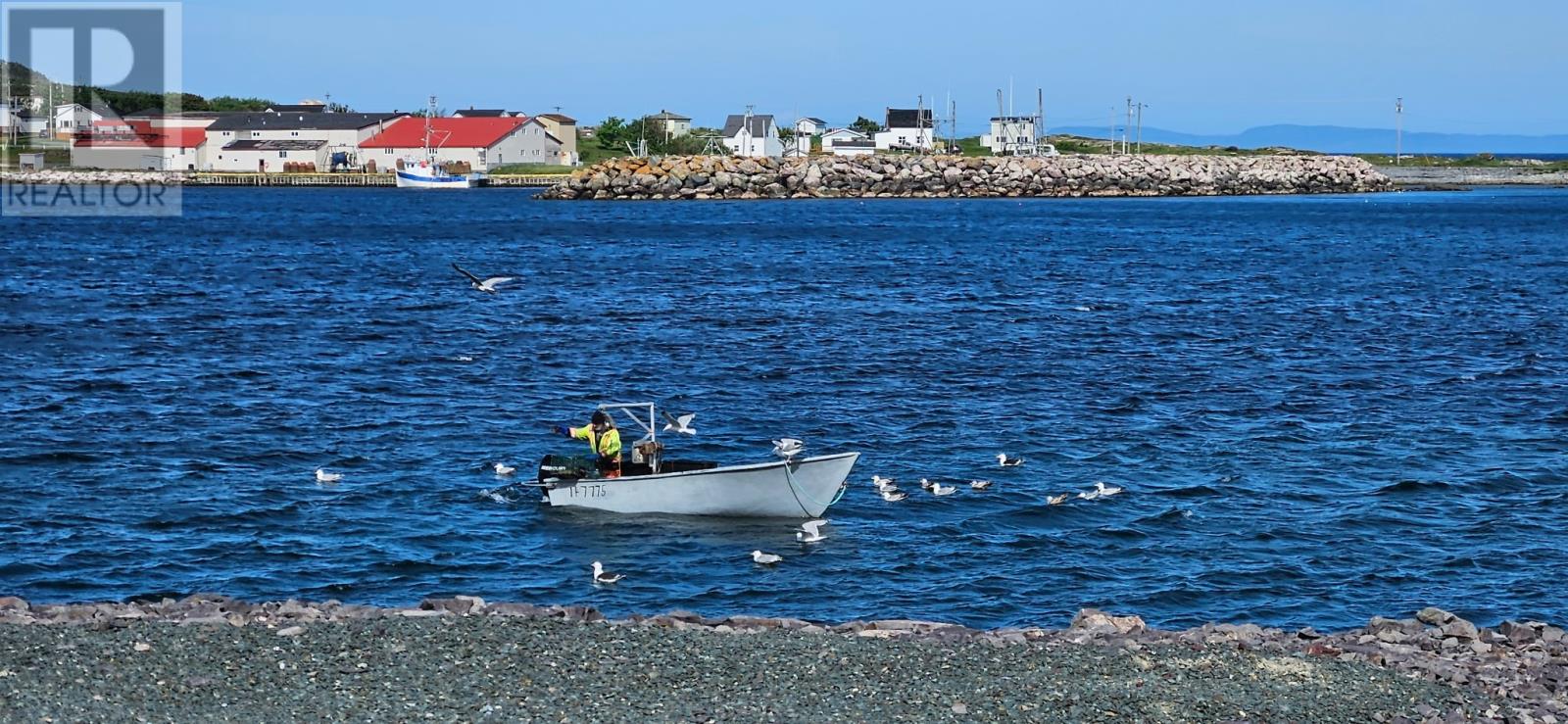 66-70 Custards Head Road, Hants Harbour, Newfoundland & Labrador  A0B 2N0 - Photo 8 - 1296555