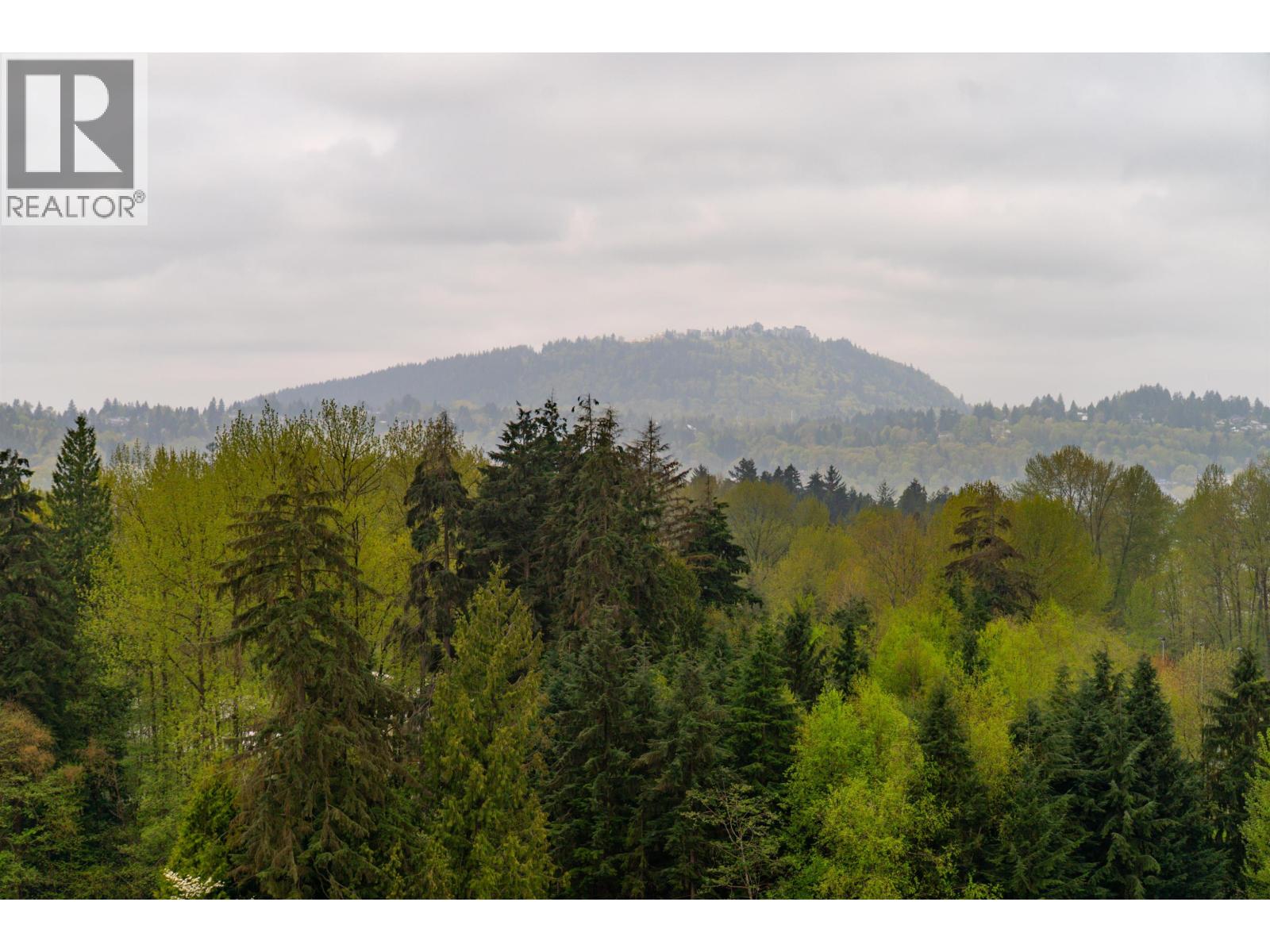 1101 200 Newport Drive, Port Moody, British Columbia  V3H 5B7 - Photo 33 - R3115915