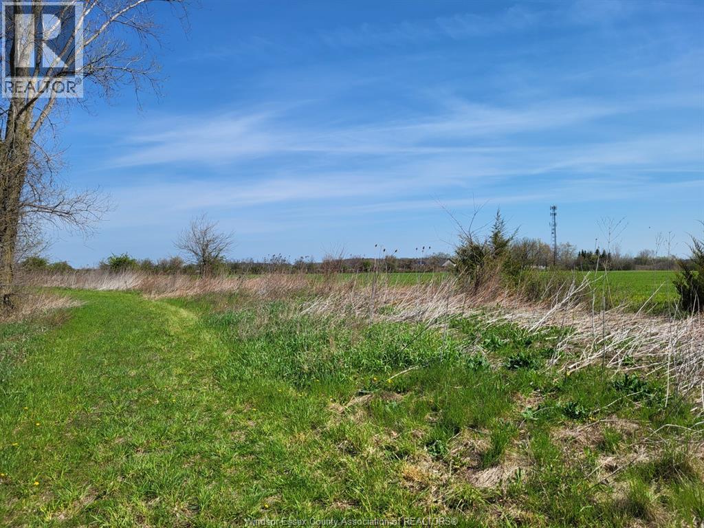 5075 12th Concession, Tecumseh, Ontario  N8N 2M1 - Photo 10 - 26009220