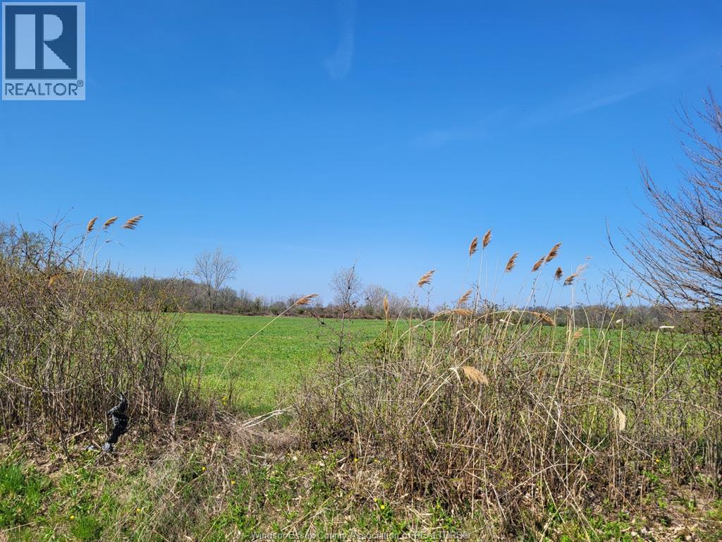 5075 12th Concession, Tecumseh, Ontario  N8N 2M1 - Photo 11 - 26009220