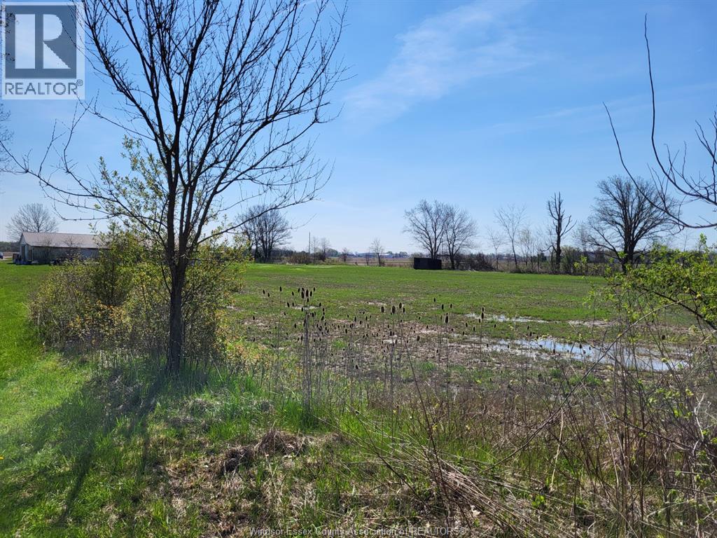 5075 12th Concession, Tecumseh, Ontario  N8N 2M1 - Photo 3 - 26009220