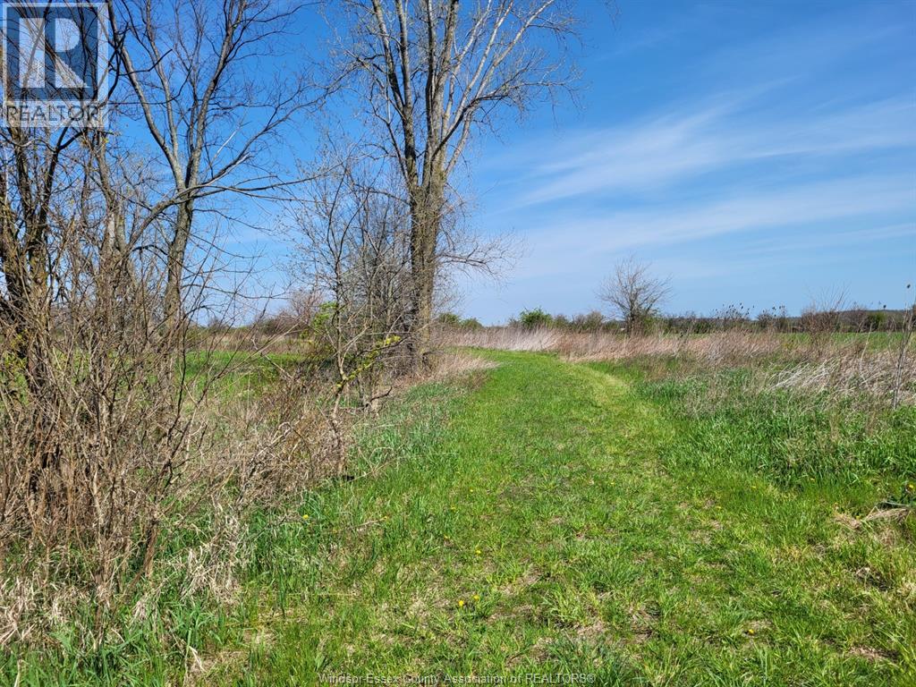 5075 12th Concession, Tecumseh, Ontario  N8N 2M1 - Photo 6 - 26009220