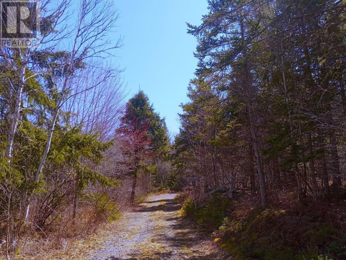 12 Johnny Cash Lane, Juniper Mountain, Nova Scotia  B1K 0C2 - Photo 22 - 202510133