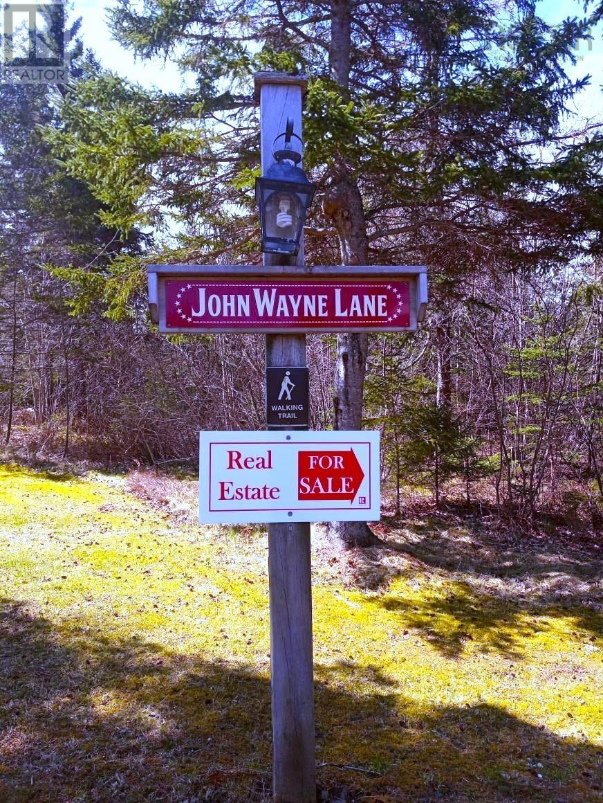 12 Johnny Cash Lane, Juniper Mountain, Nova Scotia  B1K 0C2 - Photo 27 - 202510133