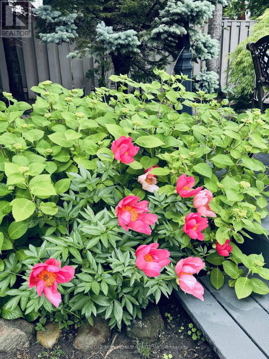 594 Woburn Avenue, Toronto, Ontario  M5M 1L9 - Photo 35 - C13047310