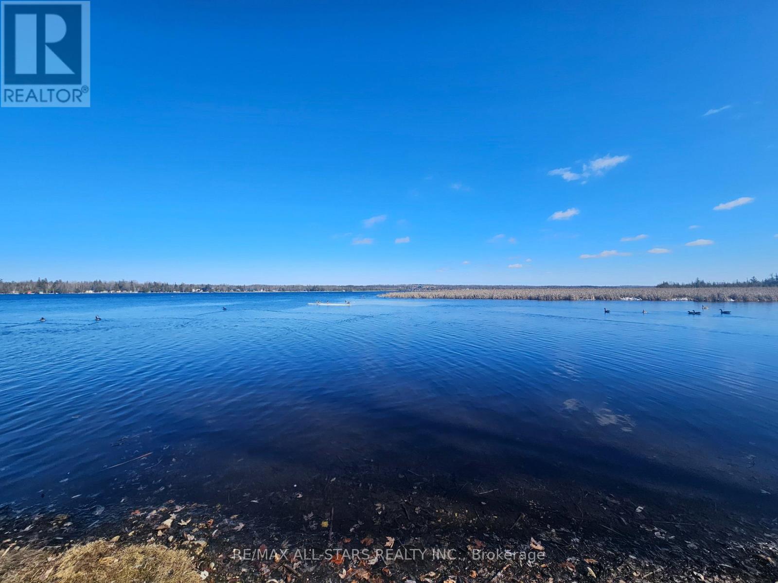 1 Beatrice Drive, Kawartha Lakes, Ontario  K0M 1N0 - Photo 24 - X12771044