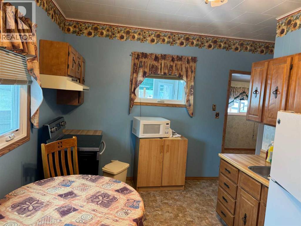 61 Mackenzie Avenue, Hughenden, Alberta  T0B 2E0 - Photo 7 - A2303952