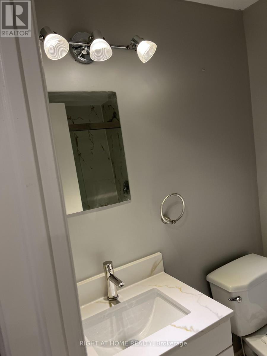 Basement - 27 Dills Crescent E, Milton, Ontario  L9T 5P9 - Photo 7 - W13047202