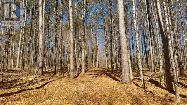 5192 Hwy 620, Wollaston, Ontario  K0L 1P0 - Photo 18 - X13042012
