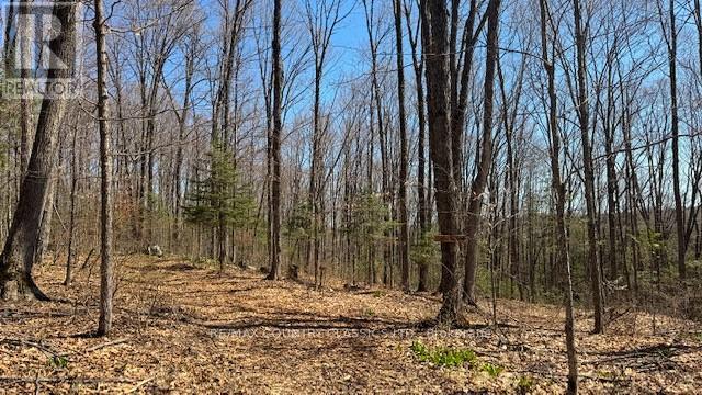 5192 Hwy 620, Wollaston, Ontario  K0L 1P0 - Photo 20 - X13042012