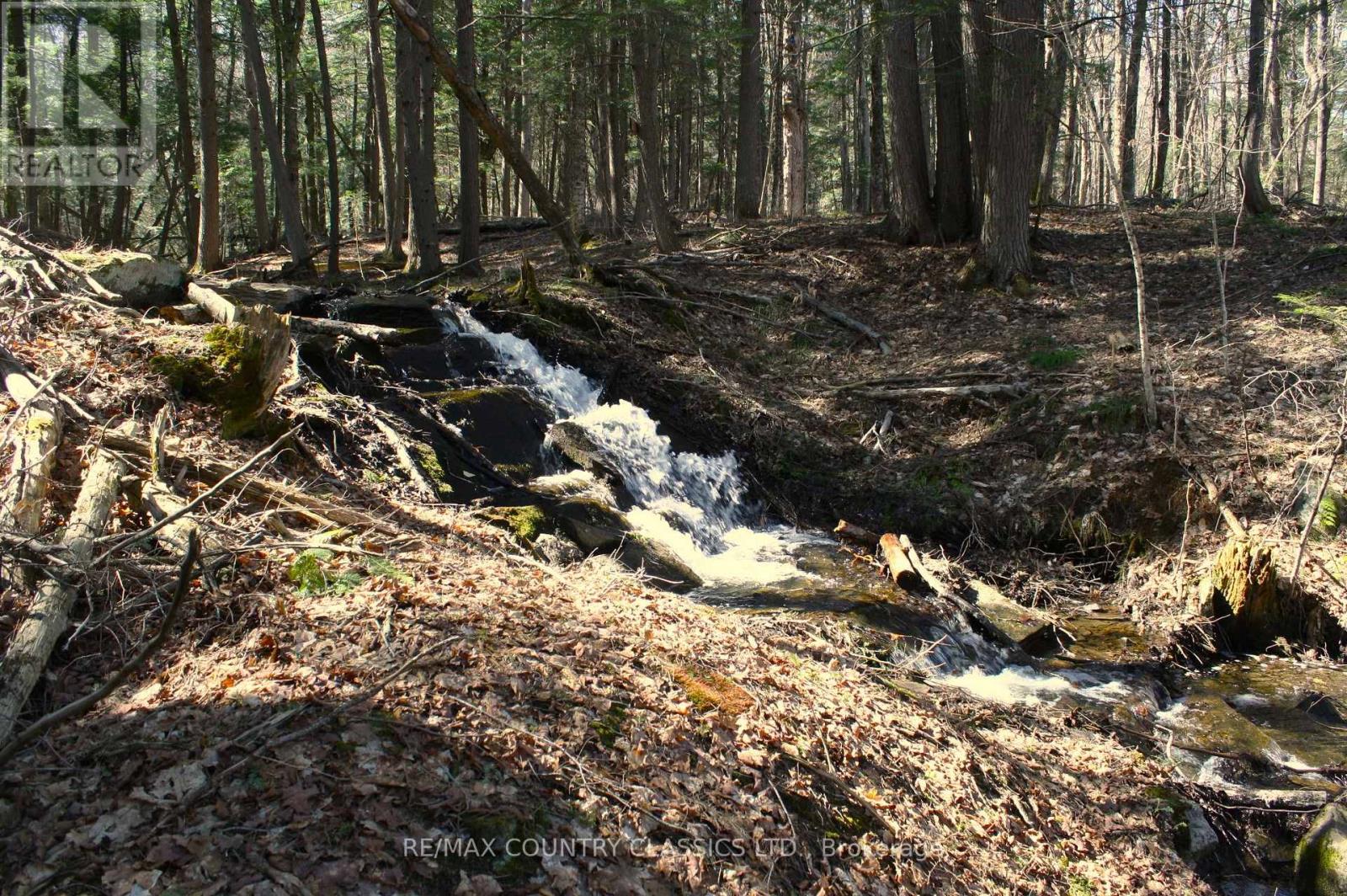 5192 Hwy 620, Wollaston, Ontario  K0L 1P0 - Photo 27 - X13042012