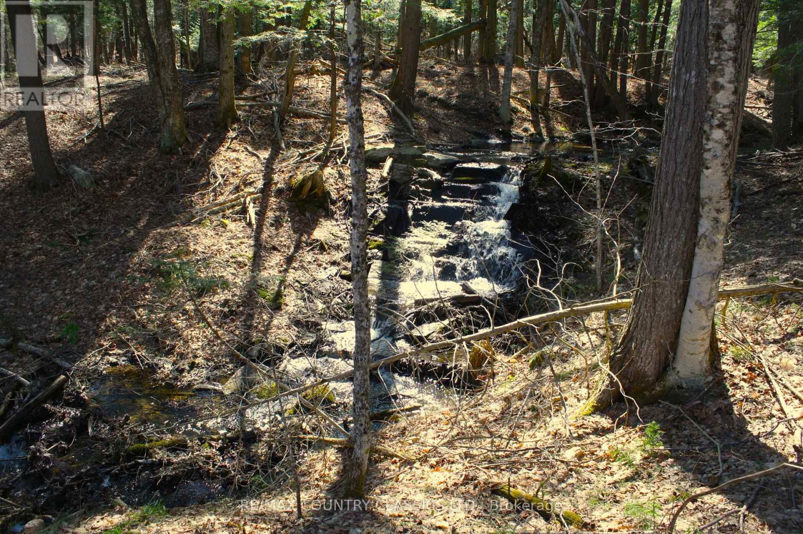 5192 Hwy 620, Wollaston, Ontario  K0L 1P0 - Photo 29 - X13042012