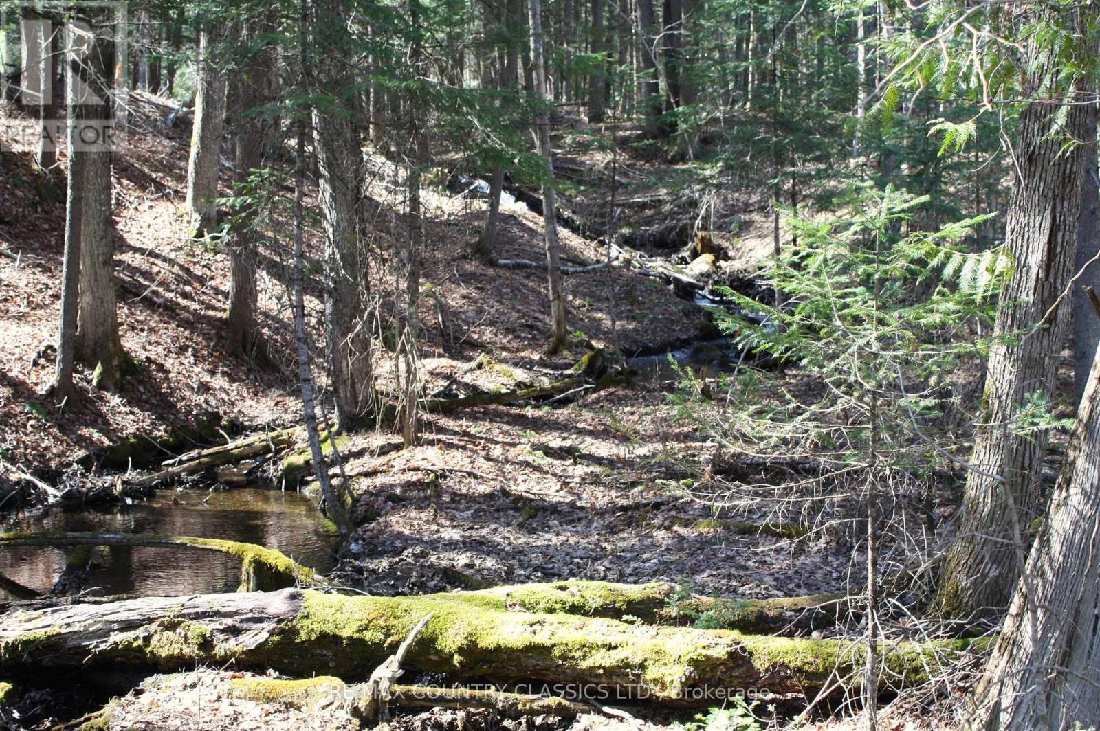 5192 Hwy 620, Wollaston, Ontario  K0L 1P0 - Photo 33 - X13042012