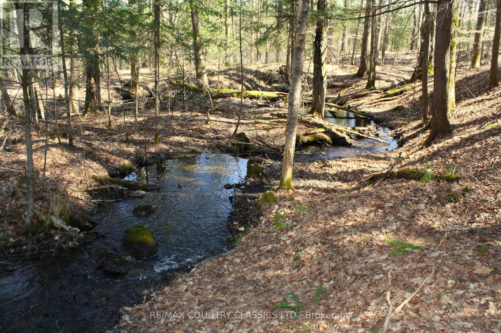 5192 Hwy 620, Wollaston, Ontario  K0L 1P0 - Photo 28 - X13042012