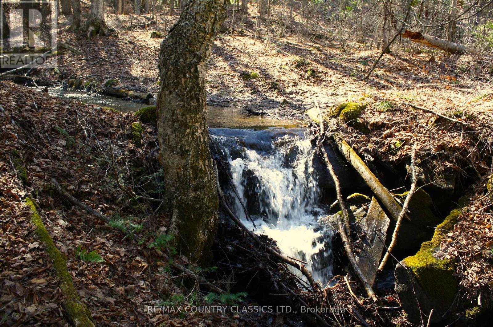 5192 Hwy 620, Wollaston, Ontario  K0L 1P0 - Photo 31 - X13042012