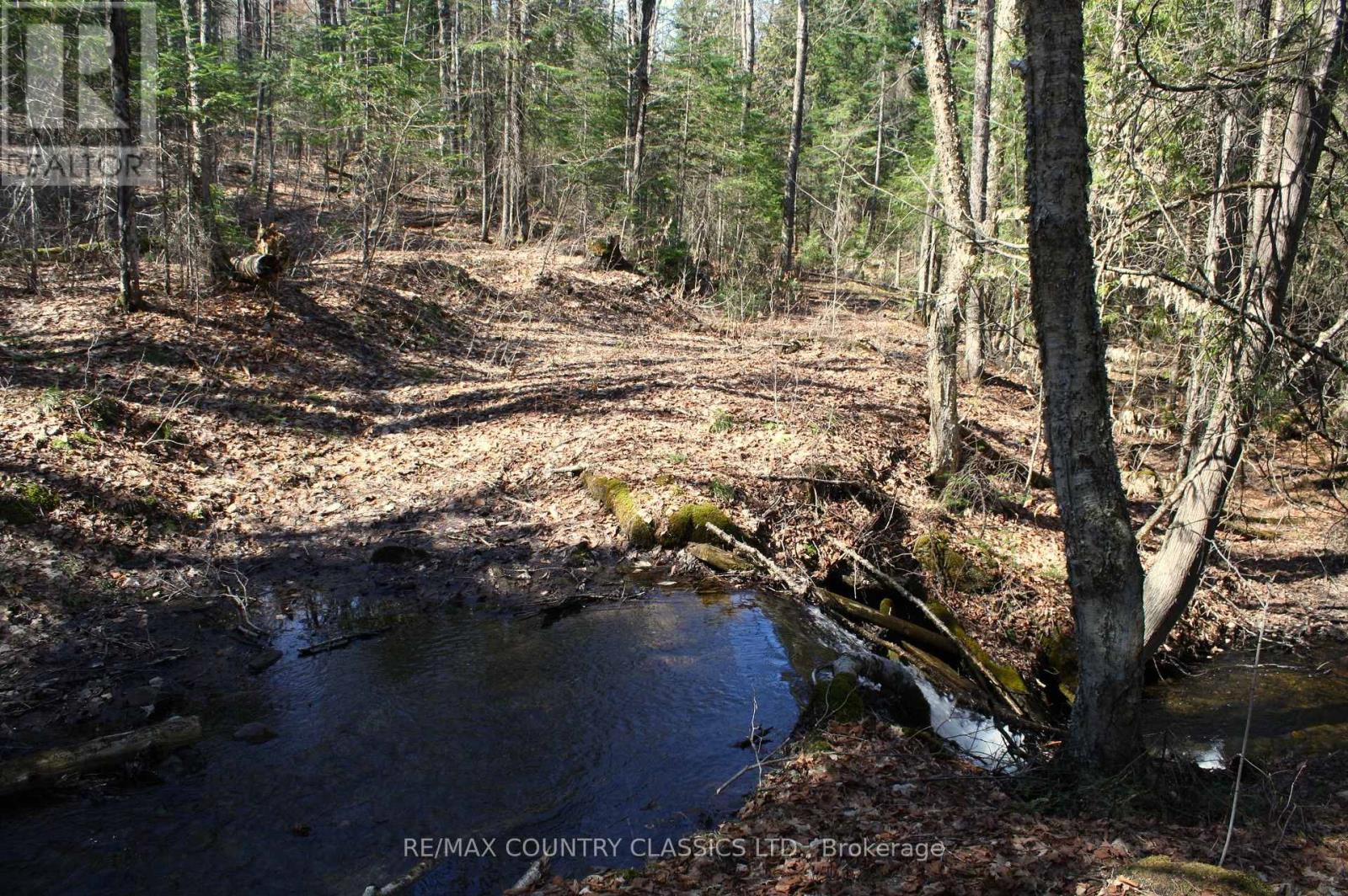 5192 Hwy 620, Wollaston, Ontario  K0L 1P0 - Photo 32 - X13042012
