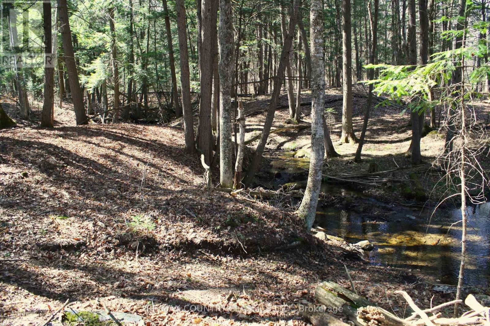 5192 Hwy 620, Wollaston, Ontario  K0L 1P0 - Photo 34 - X13042012