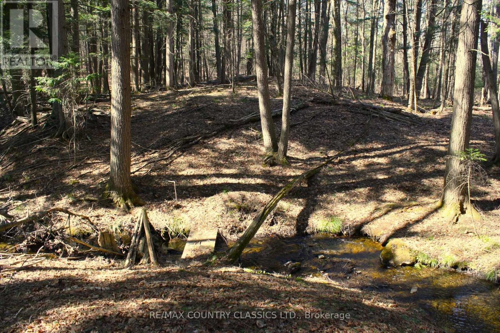 5192 Hwy 620, Wollaston, Ontario  K0L 1P0 - Photo 35 - X13042012