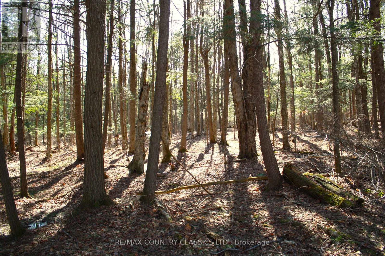 5192 Hwy 620, Wollaston, Ontario  K0L 1P0 - Photo 37 - X13042012